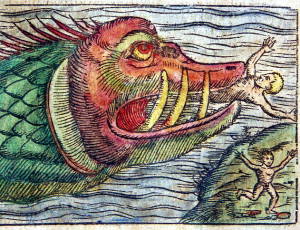 Meeresungeheuer verschlingt einen Menschen (Renaissance-Holzschnitt, Buchillustration)